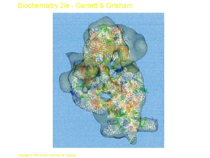 Biochemistry 2/e - Garrett & Grisham 4 Copyright © 1999 by Harcourt Brace &