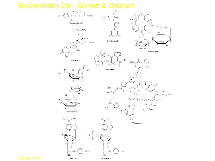 Biochemistry 2/e - Garrett & Grisham 41 Copyright © 1999 by Harcourt Brace &