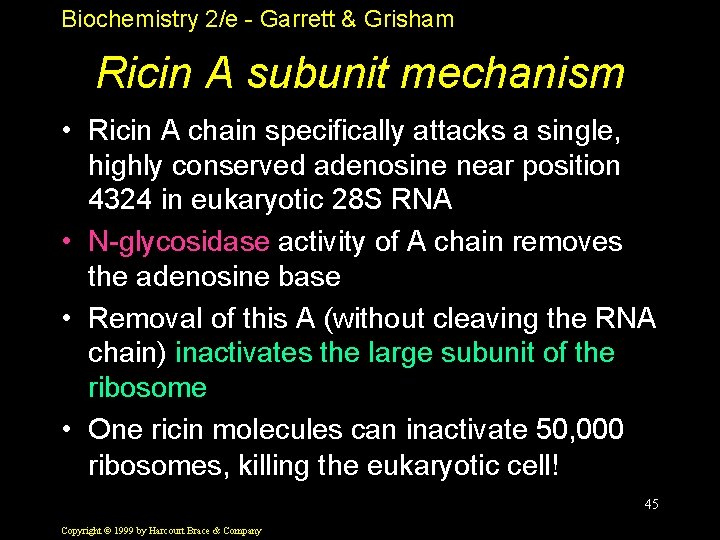 Biochemistry 2/e - Garrett & Grisham Ricin A subunit mechanism • Ricin A chain