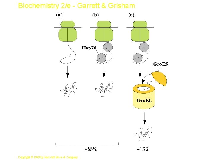 Biochemistry 2/e - Garrett & Grisham 47 Copyright © 1999 by Harcourt Brace &