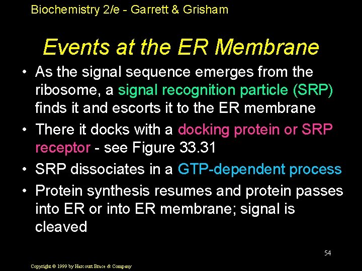 Biochemistry 2/e - Garrett & Grisham Events at the ER Membrane • As the