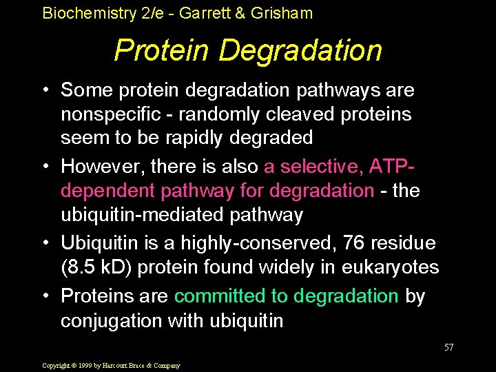 Biochemistry 2/e - Garrett & Grisham Protein Degradation • Some protein degradation pathways are