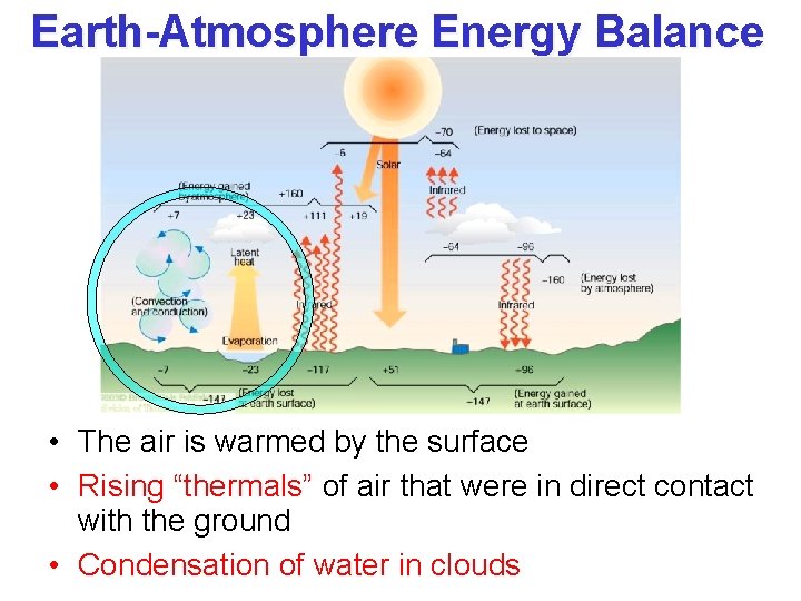 Earth-Atmosphere Energy Balance • The air is warmed by the surface • Rising “thermals”