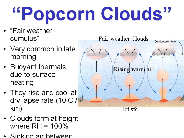 “Popcorn Clouds” • “Fair weather cumulus” • Very common in late morning • Buoyant