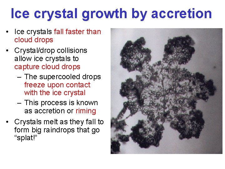 Ice crystal growth by accretion • Ice crystals fall faster than cloud drops •