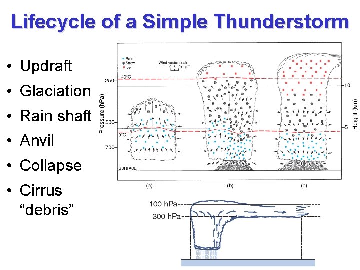 Lifecycle of a Simple Thunderstorm • Updraft • Glaciation • Rain shaft • Anvil