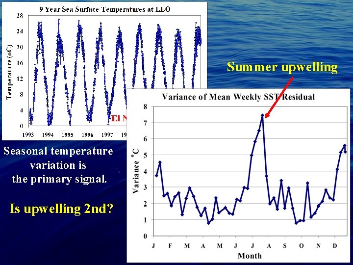 Summer upwelling El Nino! Seasonal temperature variation is the primary signal. Is upwelling 2