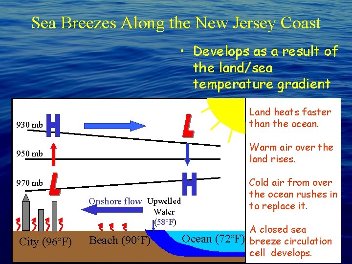 Sea Breezes Along the New Jersey Coast • Develops as a result of the