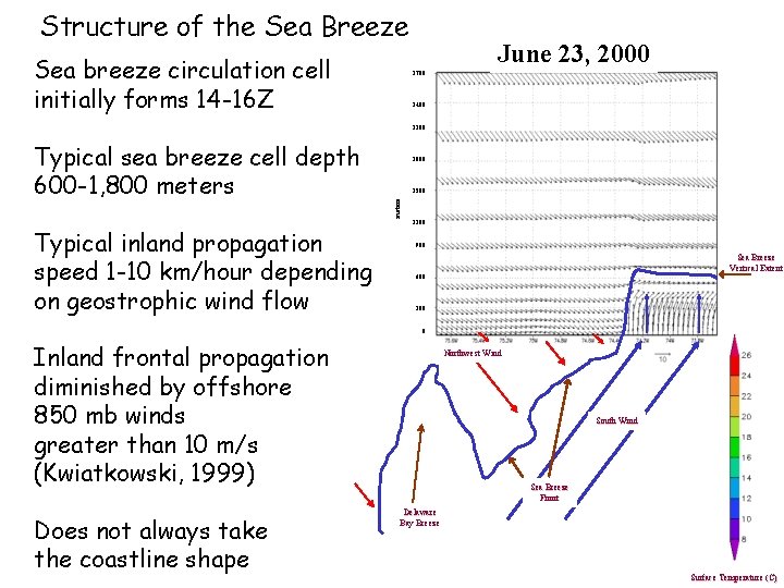 Structure of the Sea Breeze Sea breeze circulation cell initially forms 14 -16 Z