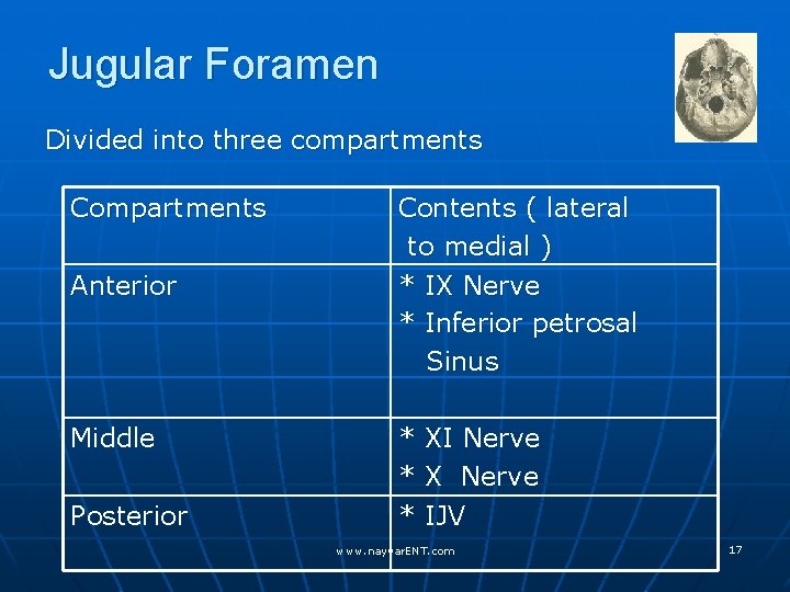 Jugular Foramen Divided into three compartments Compartments Anterior Middle Posterior Contents ( lateral to