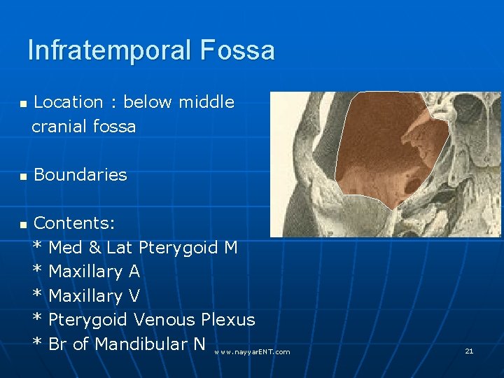 Infratemporal Fossa n n n Location : below middle cranial fossa Boundaries Contents: *