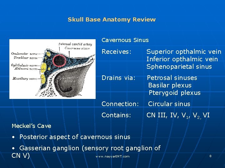 Skull Base Anatomy Review Cavernous Sinus Receives: Superior opthalmic vein Inferior opthalmic vein Sphenoparietal