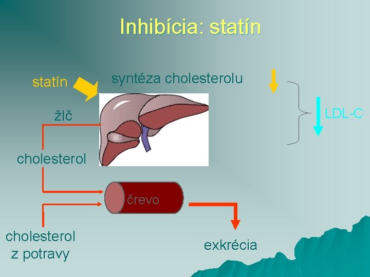 Inhibícia: statín syntéza cholesterolu LDL-C žlč cholesterol črevo DARM cholesterol z potravy exkrécia 