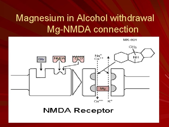 Magnesium in Alcohol withdrawal Mg-NMDA connection 