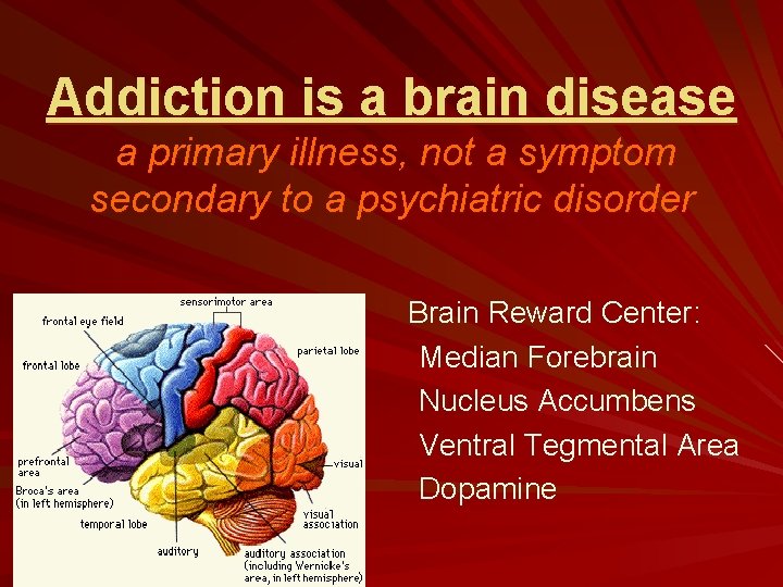 Addiction is a brain disease a primary illness, not a symptom secondary to a