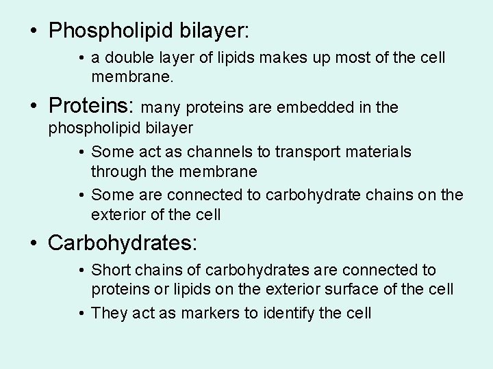  • Phospholipid bilayer: • a double layer of lipids makes up most of