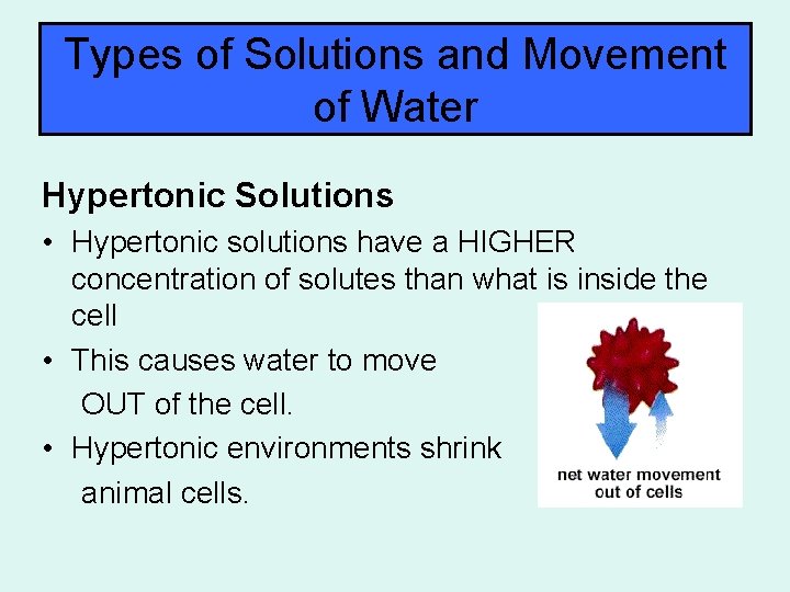 Types of Solutions and Movement of Water Hypertonic Solutions • Hypertonic solutions have a