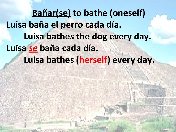 Bañar(se) to bathe (oneself) Luisa baña el perro cada día. Luisa bathes the dog