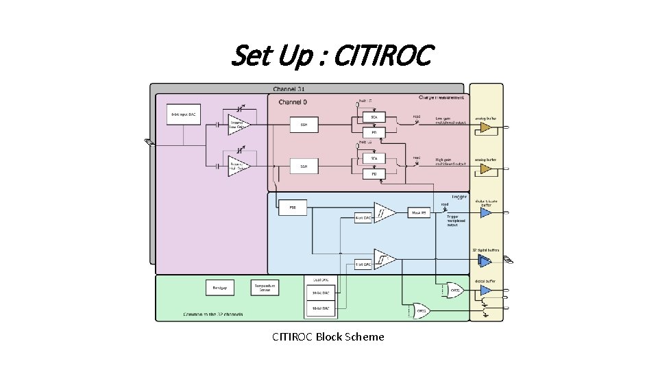 Set Up : CITIROC Block Scheme 