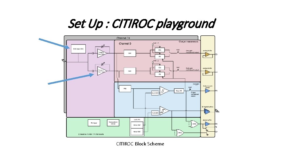 Set Up : CITIROC playground CITIROC Block Scheme 