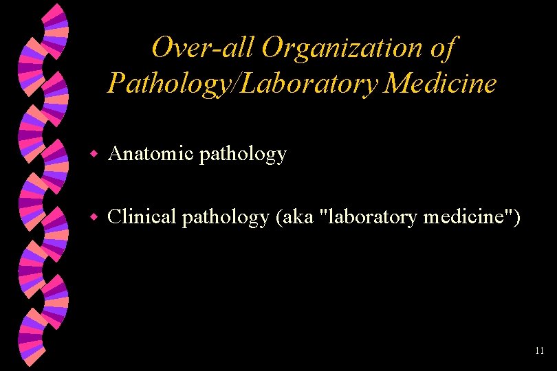 Over-all Organization of Pathology/Laboratory Medicine w Anatomic pathology w Clinical pathology (aka "laboratory medicine")