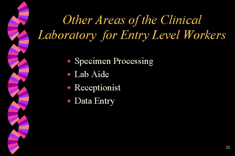 Other Areas of the Clinical Laboratory for Entry Level Workers Specimen Processing w Lab