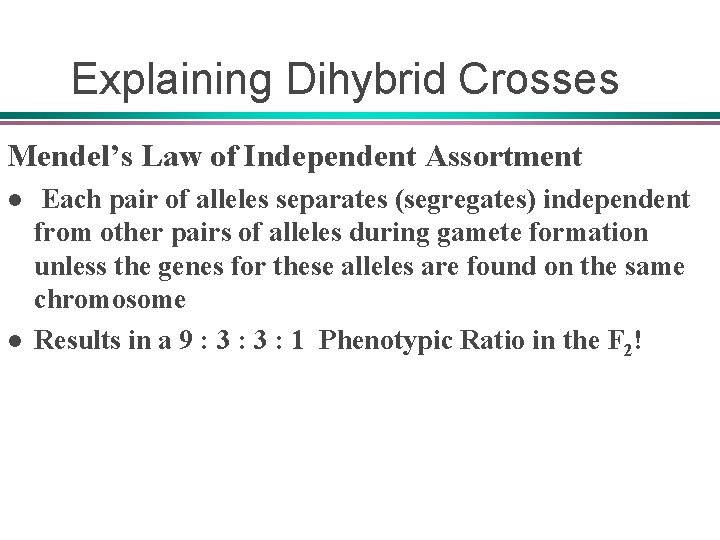 Explaining Dihybrid Crosses Mendel’s Law of Independent Assortment l l Each pair of alleles