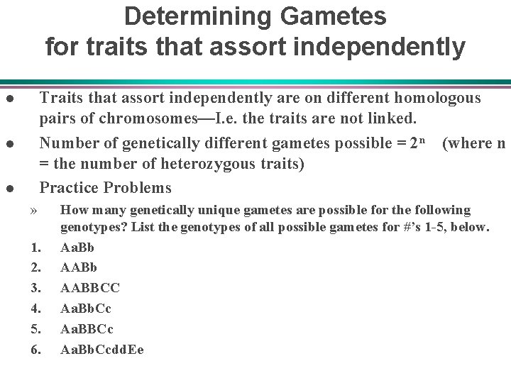 Determining Gametes for traits that assort independently Traits that assort independently are on different