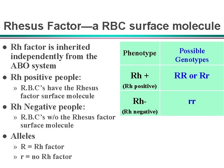 Rhesus Factor—a RBC surface molecule l l Rh factor is inherited independently from the