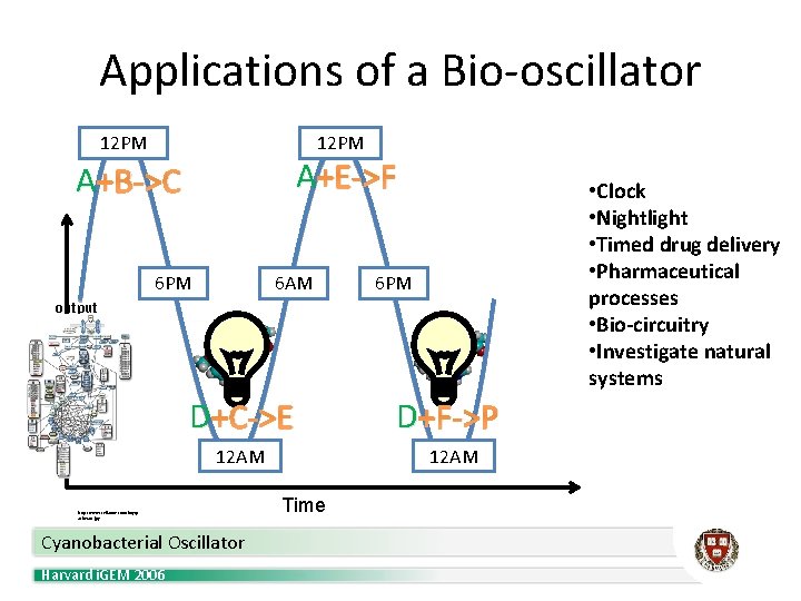 Applications of a Bio-oscillator 12 PM A +E->F A +B->C 6 PM 6 AM