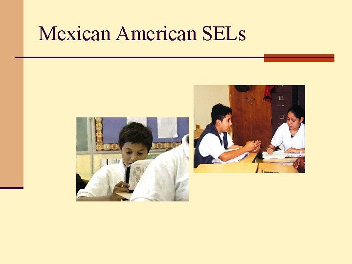Mexican American SELs 