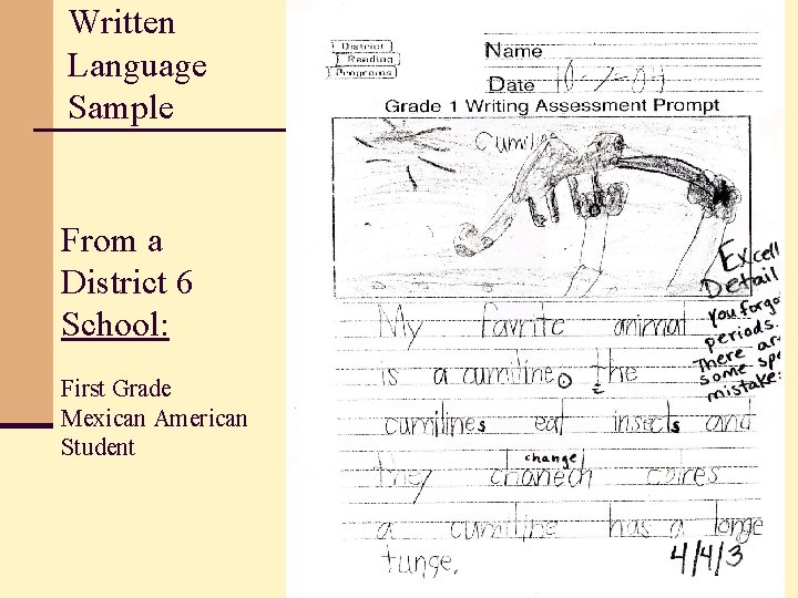 Written Language Sample From a District 6 School: First Grade Mexican American Student 