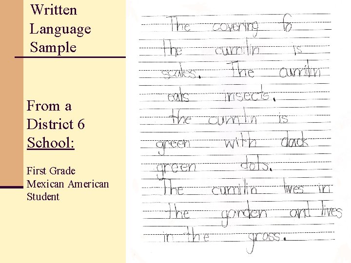 Written Language Sample From a District 6 School: First Grade Mexican American Student 