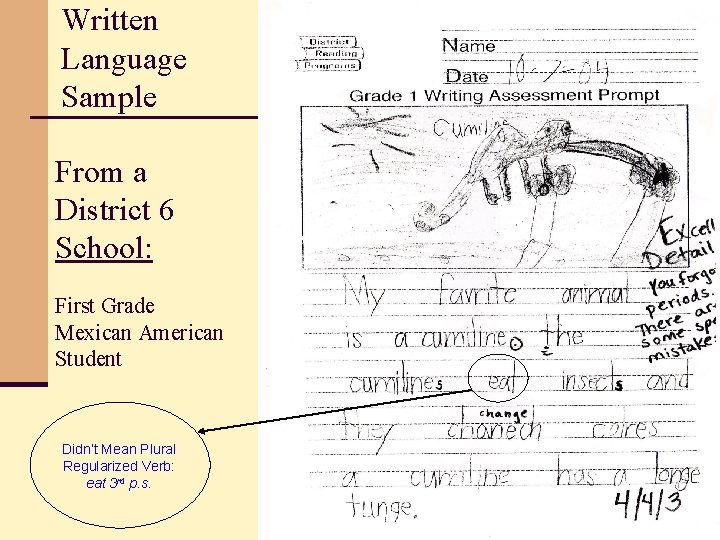 Written Language Sample From a District 6 School: First Grade Mexican American Student Didn’t