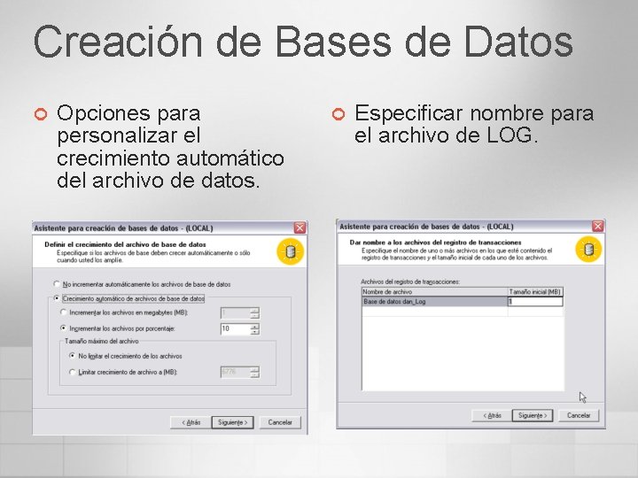 Creación de Bases de Datos ¢ Opciones para personalizar el crecimiento automático del archivo