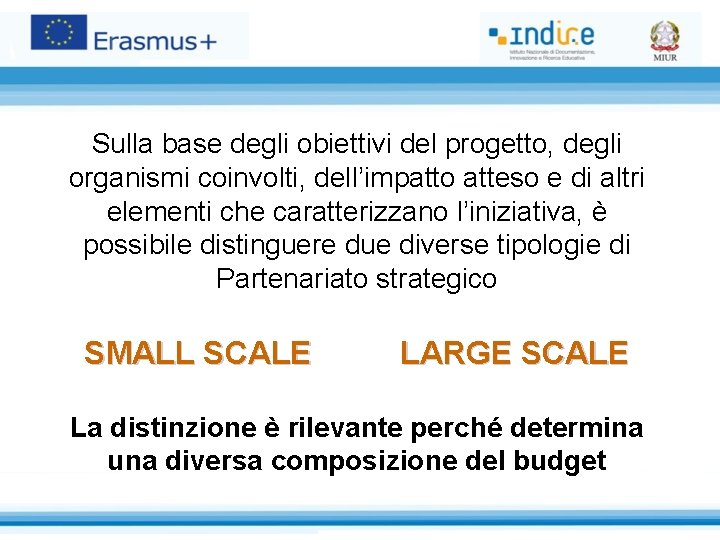 Sulla base degli obiettivi del progetto, degli organismi coinvolti, dell’impatto atteso e di altri