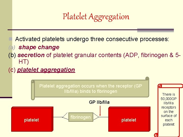 Platelet Aggregation n Activated platelets undergo three consecutive processes: (a) shape change (b) secretion