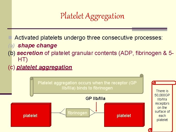Platelet Aggregation n Activated platelets undergo three consecutive processes: (a) shape change (b) secretion Platelet Aggregation n Activated platelets undergo three consecutive processes: (a) shape change (b) secretion