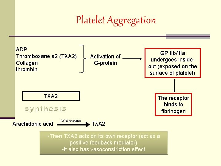 Platelet Aggregation ADP Thromboxane a 2 (TXA 2) Collagen thrombin Activation of G-protein TXA