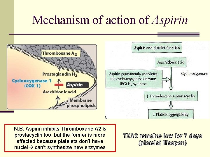 Mechanism of action of Aspirin N. B. Aspirin inhibits Thromboxane A 2 & prostacyclin Mechanism of action of Aspirin N. B. Aspirin inhibits Thromboxane A 2 & prostacyclin