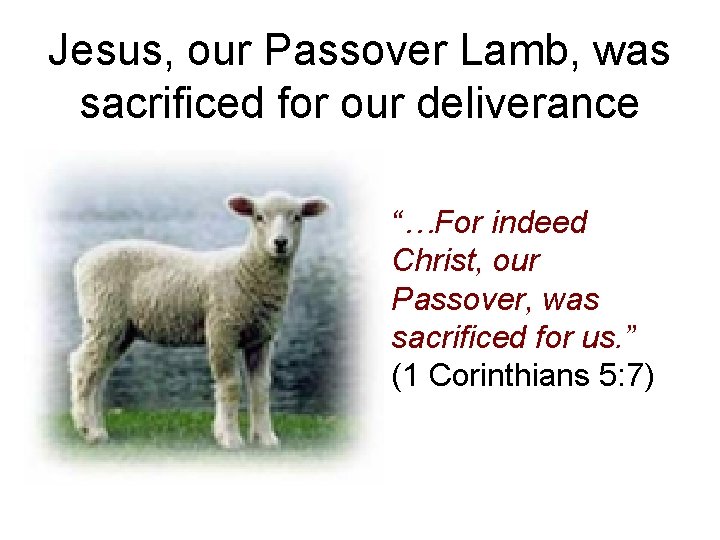 Jesus, our Passover Lamb, was sacrificed for our deliverance “…For indeed Christ, our Passover,