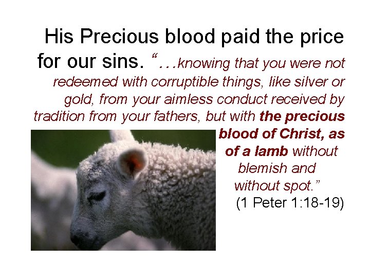 His Precious blood paid the price for our sins. “…knowing that you were not