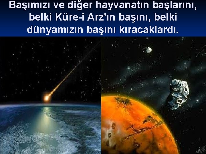 Başımızı ve diğer hayvanatın başlarını, belki Küre-i Arz'ın başını, belki dünyamızın başını kıracaklardı. 