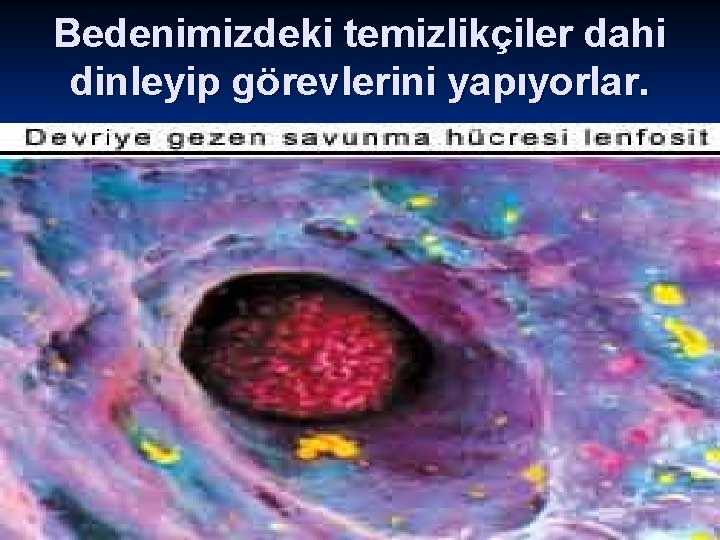 Bedenimizdeki temizlikçiler dahi dinleyip görevlerini yapıyorlar. 