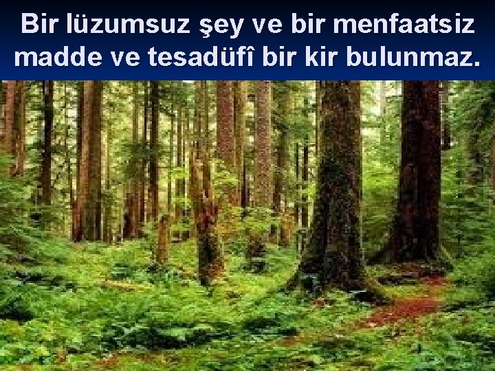 Bir lüzumsuz şey ve bir menfaatsiz madde ve tesadüfî bir kir bulunmaz. 