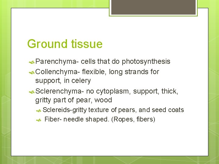 Ground tissue Parenchyma- cells that do photosynthesis Collenchyma- flexible, long strands for support, in