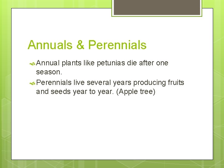 Annuals & Perennials Annual plants like petunias die after one season. Perennials live several