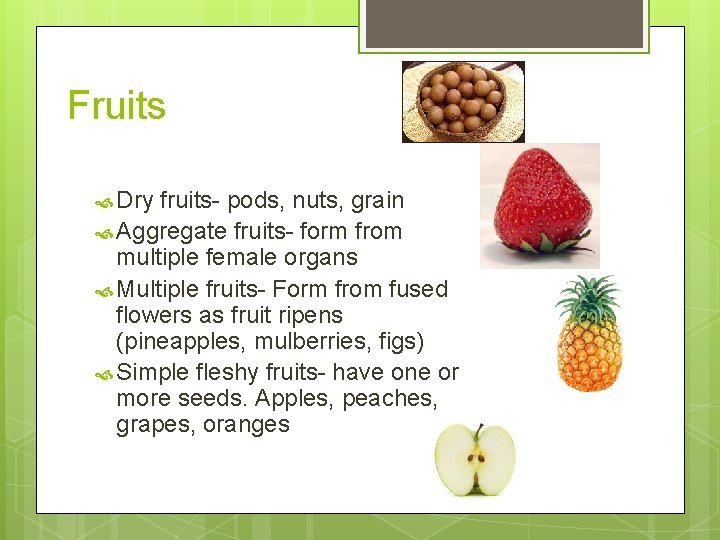 Fruits Dry fruits- pods, nuts, grain Aggregate fruits- form from multiple female organs Multiple