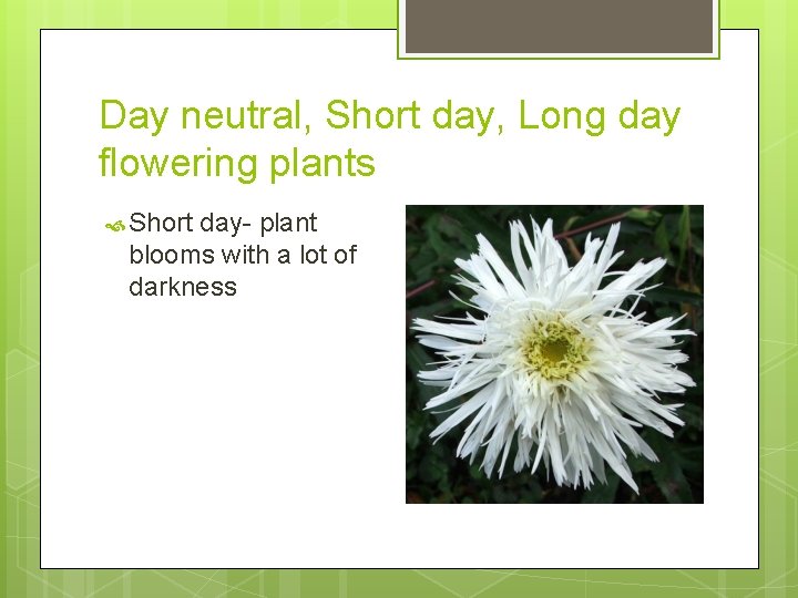Day neutral, Short day, Long day flowering plants Short day- plant blooms with a