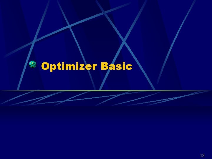 Optimizer Basic 13 